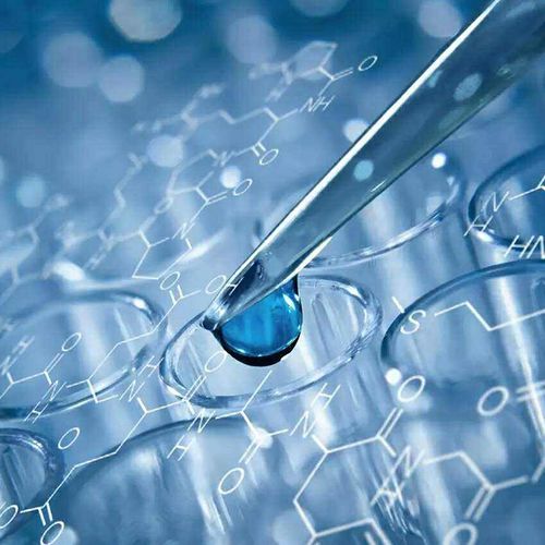 親子鑒定為出國留學保駕護航 技術咨詢全解析