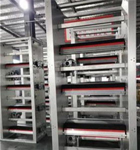 攜手創(chuàng)新，智贏未來 自動(dòng)化蛋雞養(yǎng)殖設(shè)備技術(shù)咨詢與生產(chǎn)合作指南